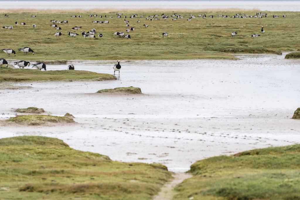 Ruimtelijke ordeningsverkiezingen 2023
